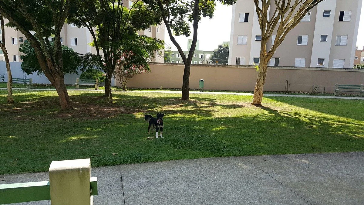 Praca Humanismo