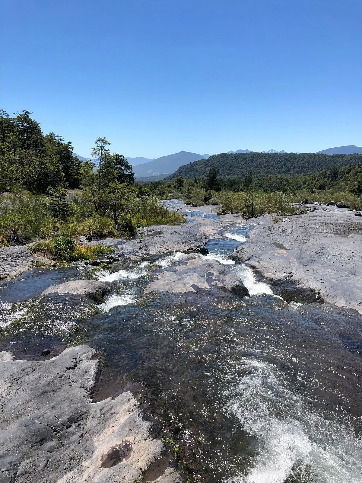 El Cerduo