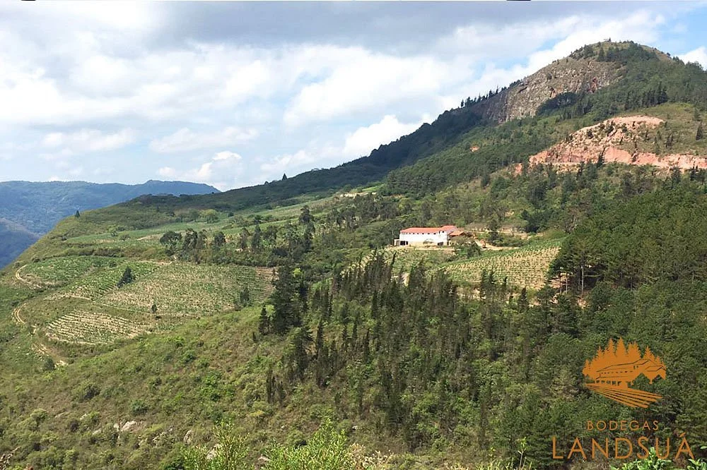 Bodegas Landsua