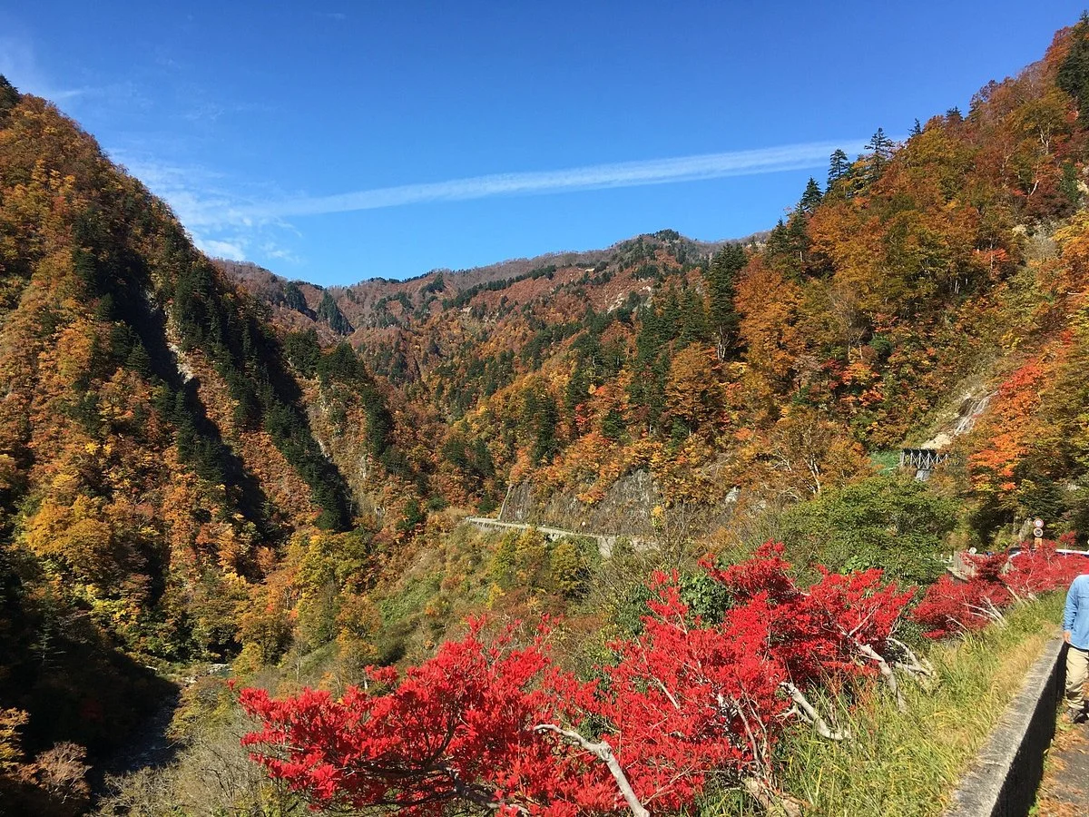 Hakusan Shirakawa-go White Road