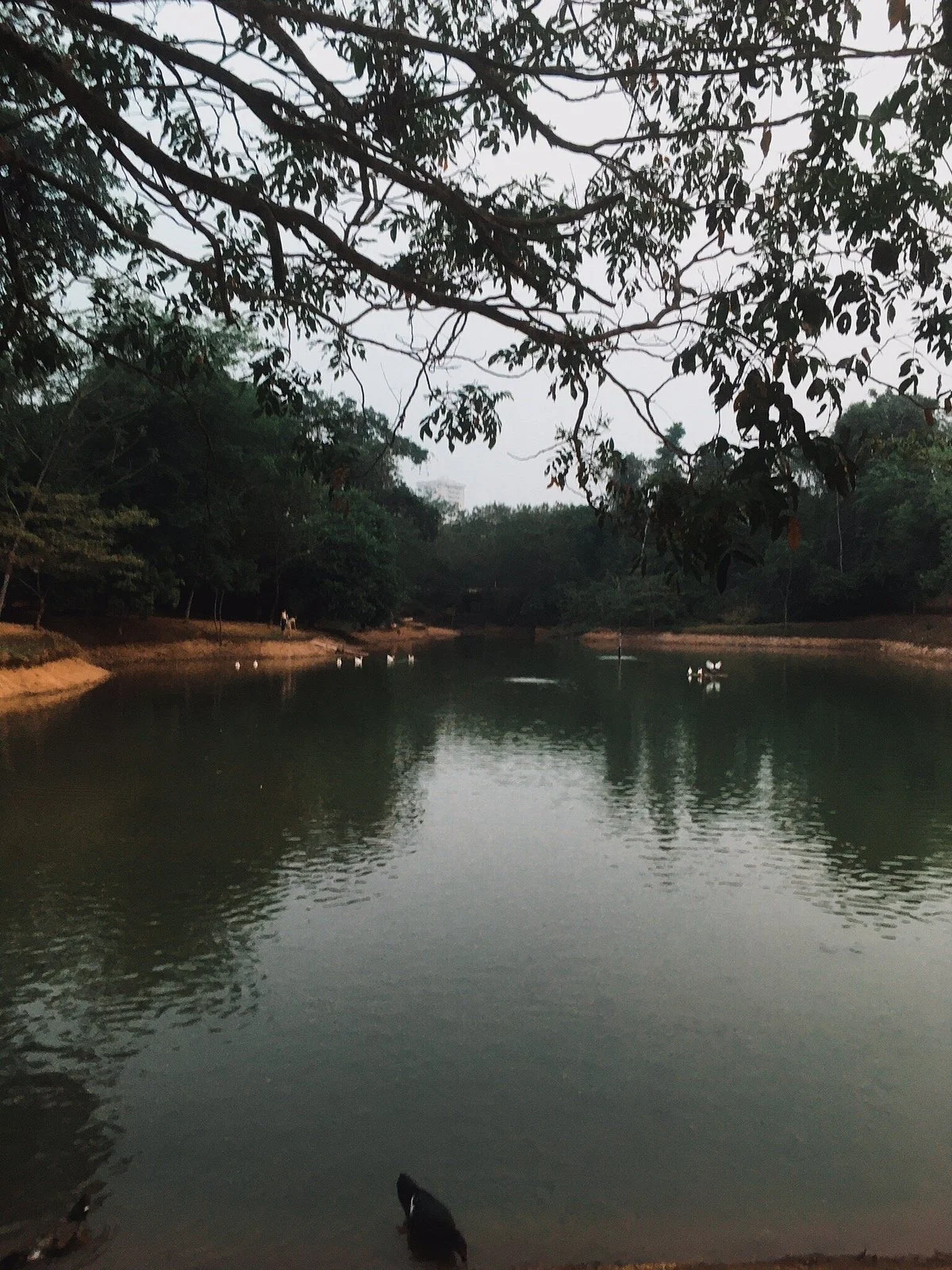 Parque Municipal de Sorriso
