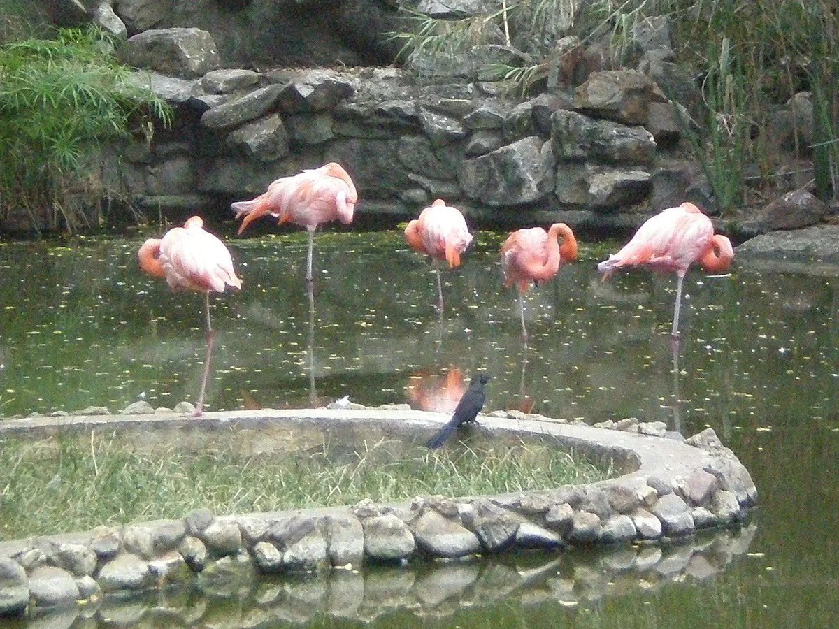 Parque Zoologico y Botanico Bararida