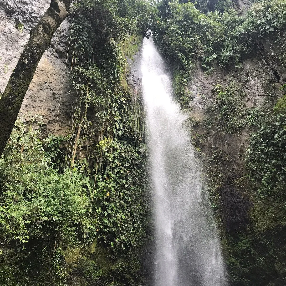 Balsaje la Berraquera