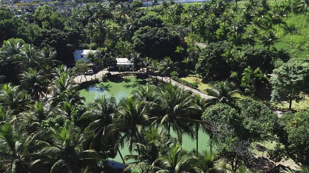 Centro Ecologico Projeto Caiman
