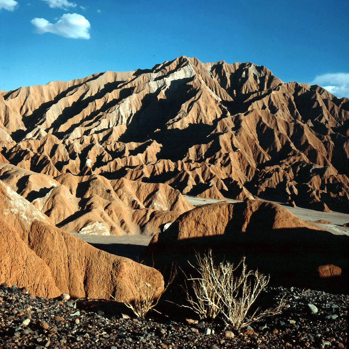 Cordillera de la Sal