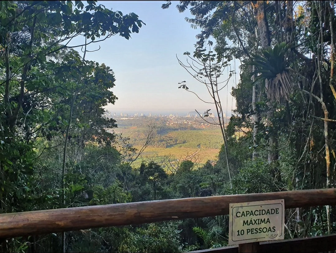 Trilha Ecologica no Morro do Quininho