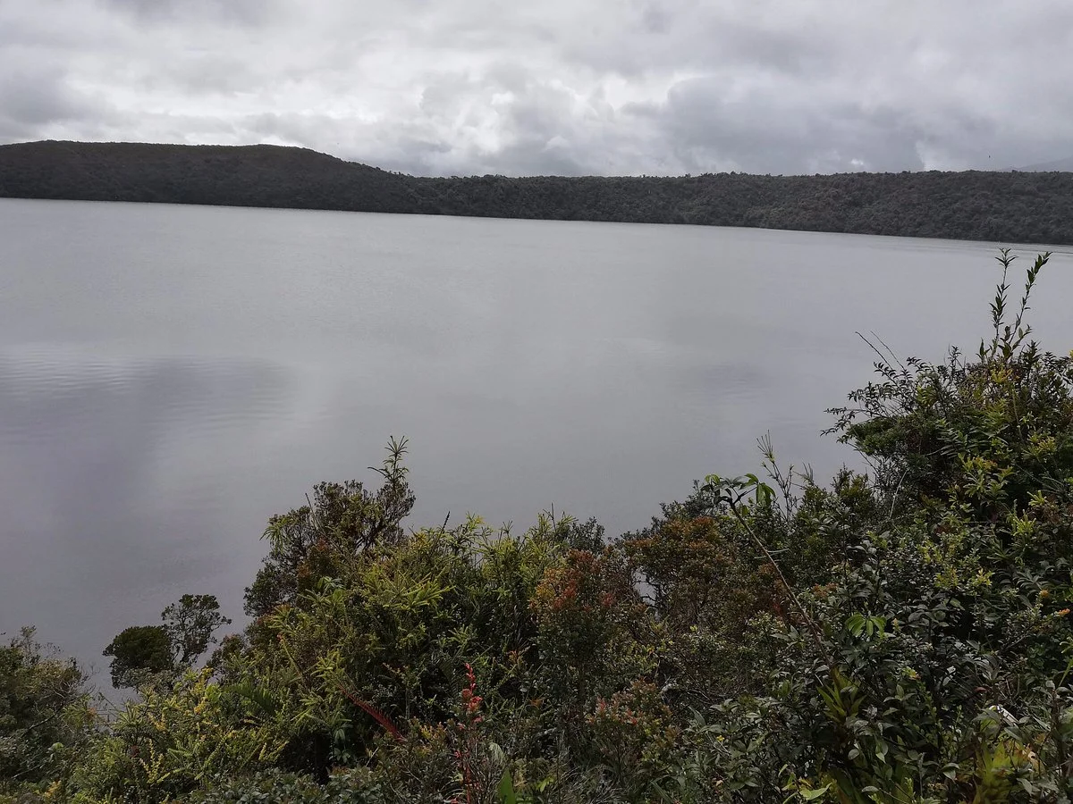 Laguna Del Buey