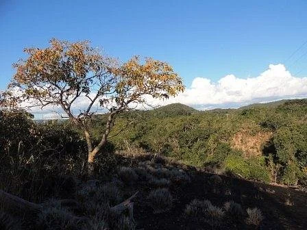Sitio Arqueologico do Bisnau