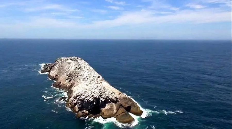 Parque Estadual Marinho da Laje de Santos