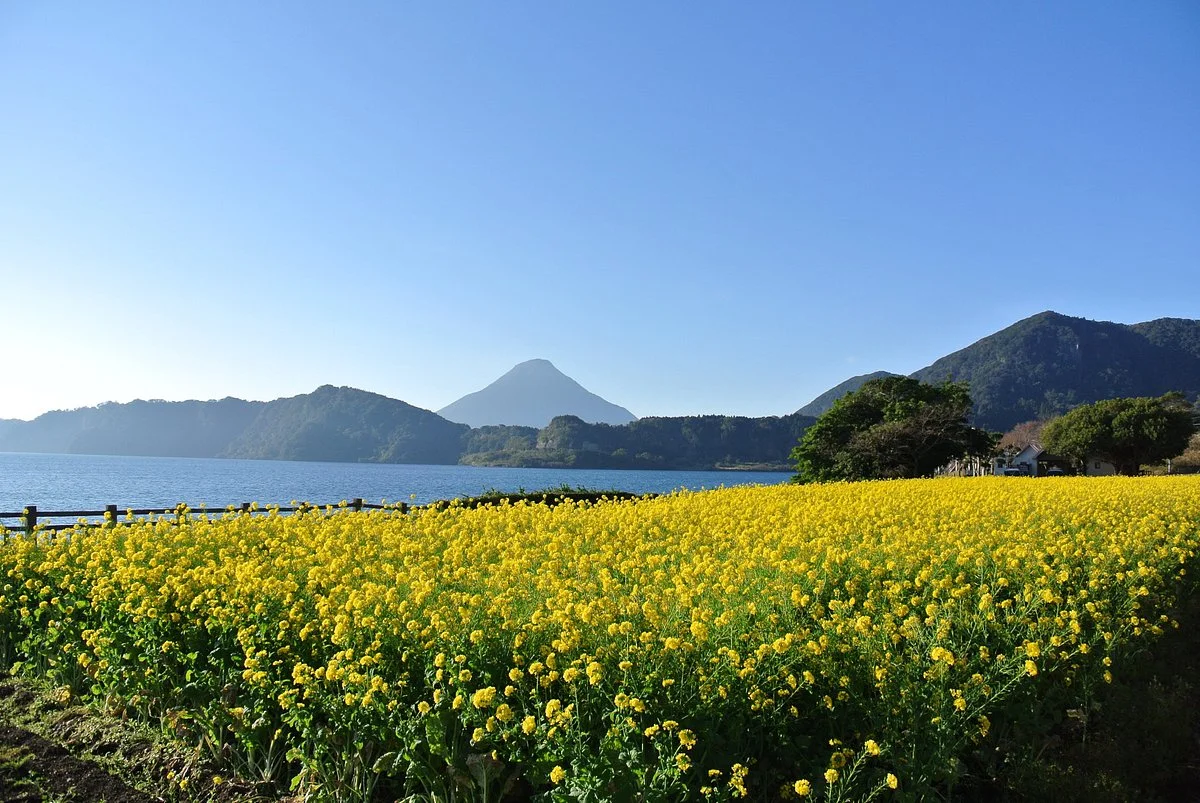 Lake Ikeda