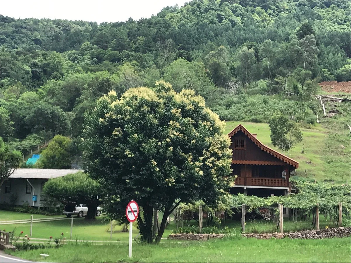 Ervateira Marcon - Natural de Gramado