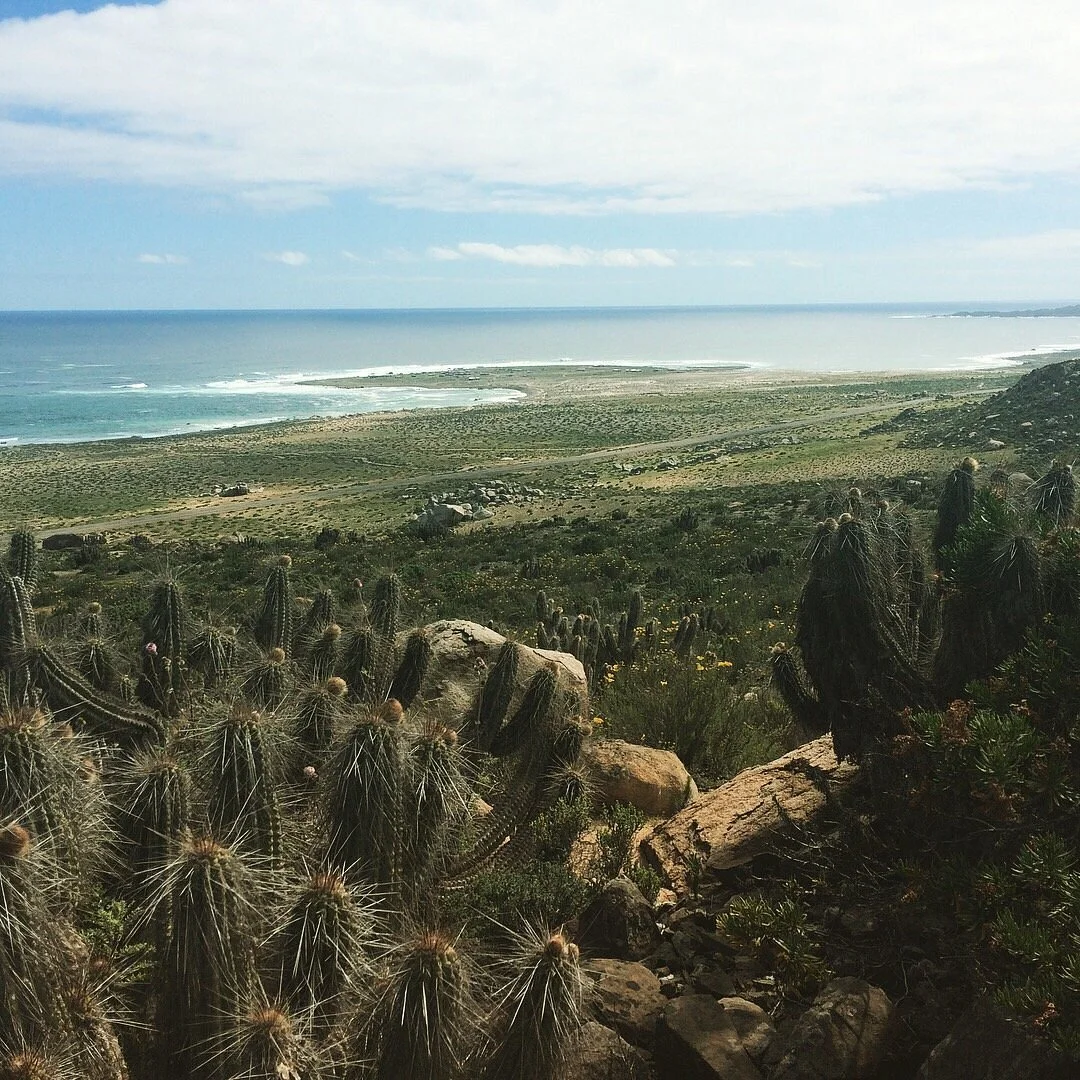 Parque Nacional Llanos del Challe