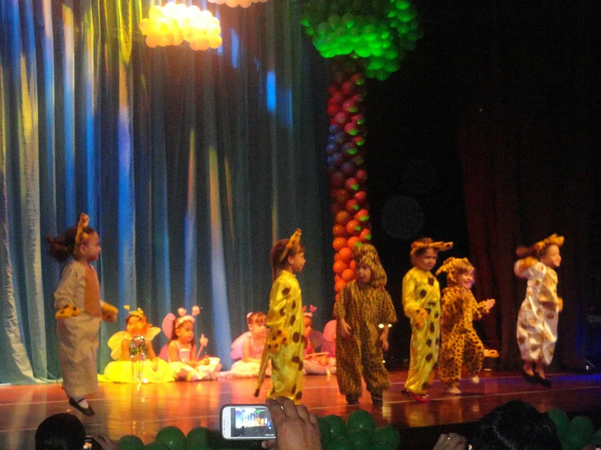 Camara dos Dirigentes Lojistas - Theater