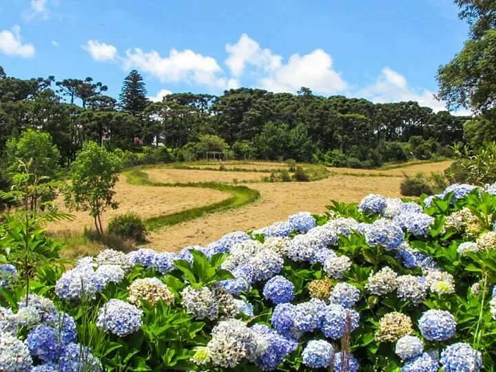 Parque do Palácio
