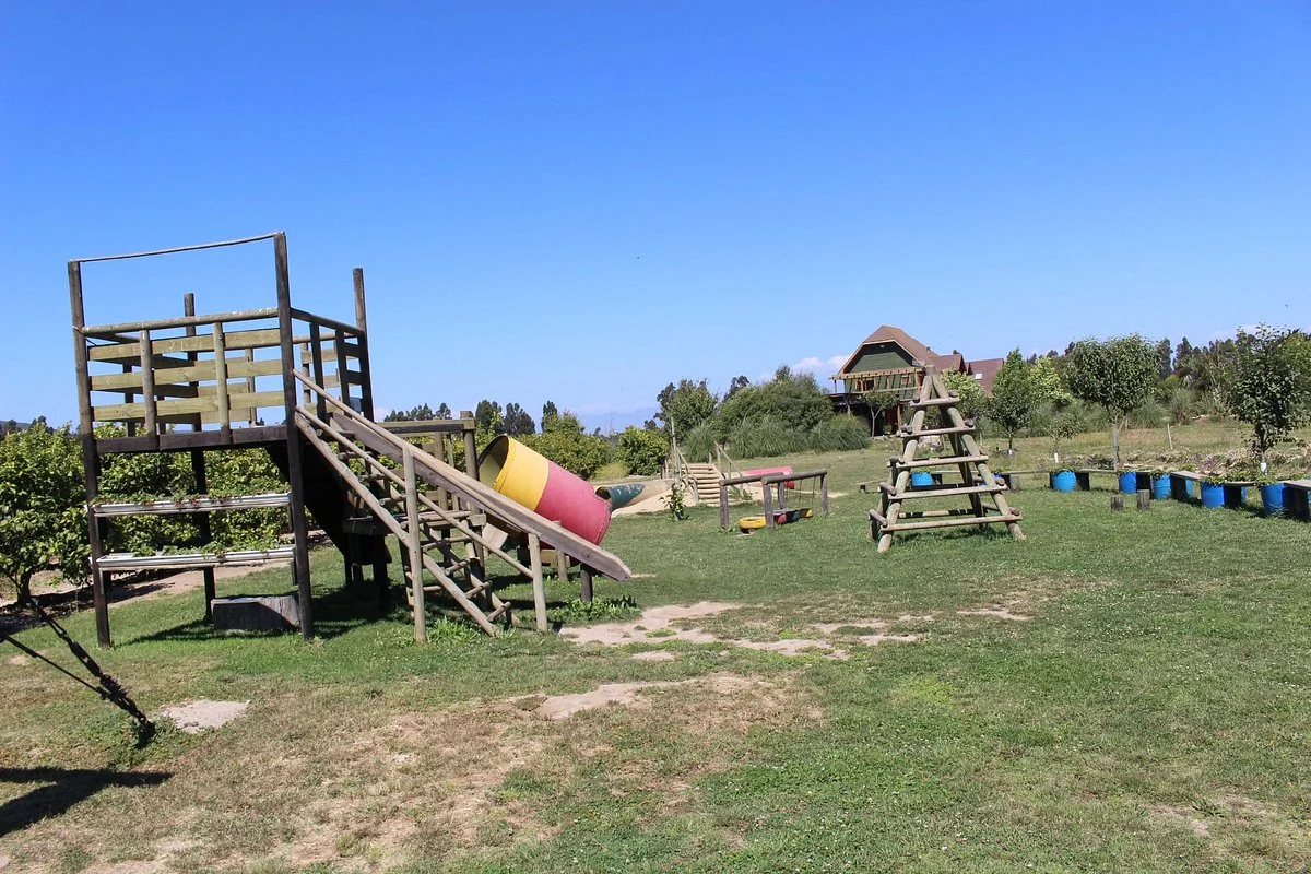 Campo Educativo
