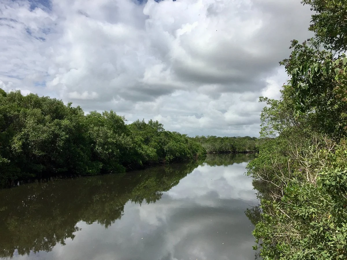 Parque das Capivaras em Meia Praia Itapema.