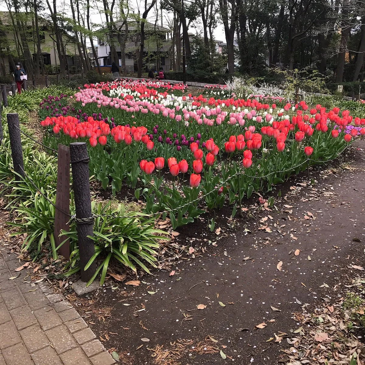 Nambu Park