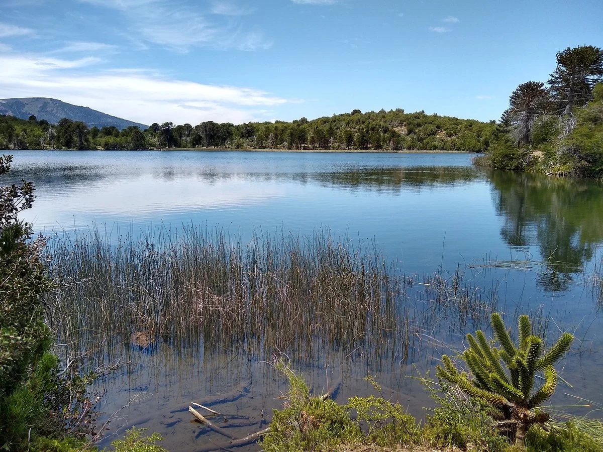 Cinco Lagunas