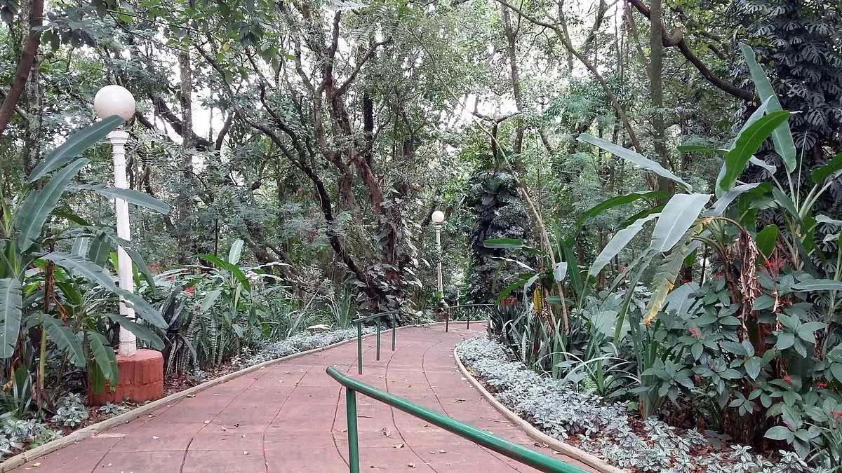 Jardin De Los Pajaros