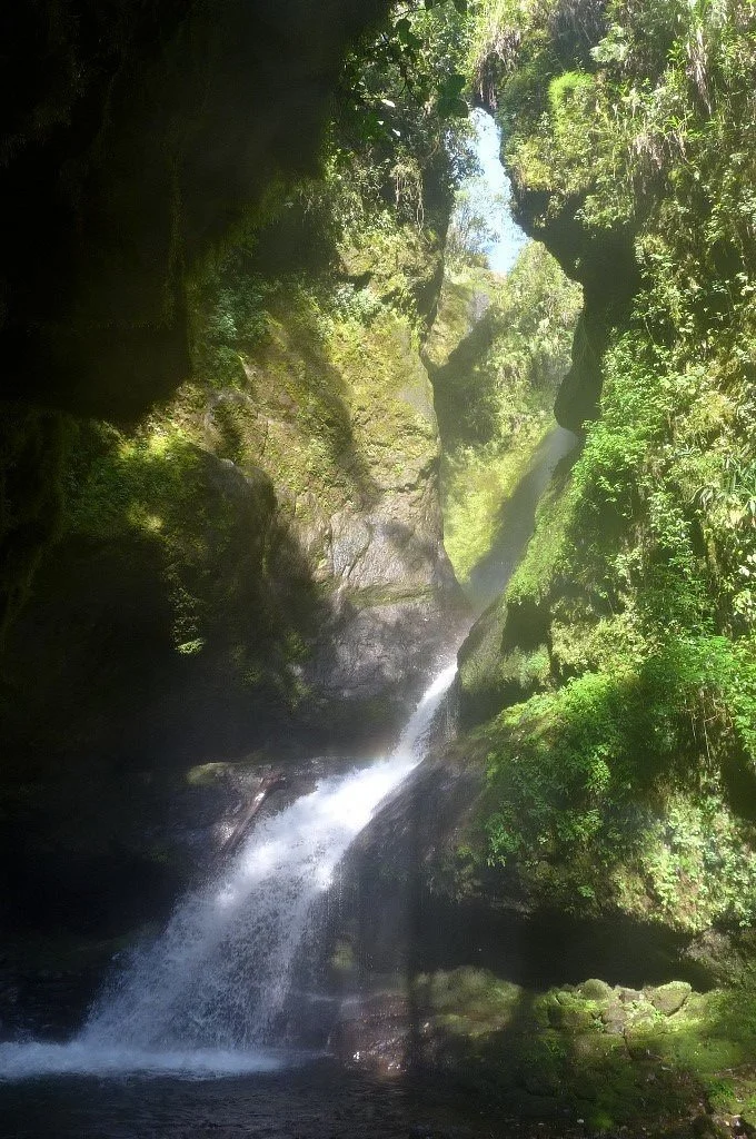 La Cueva de los Guacharos