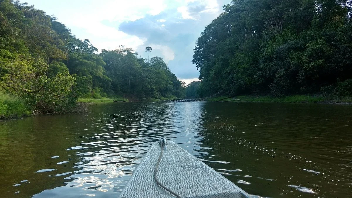 Lago Tarapoto