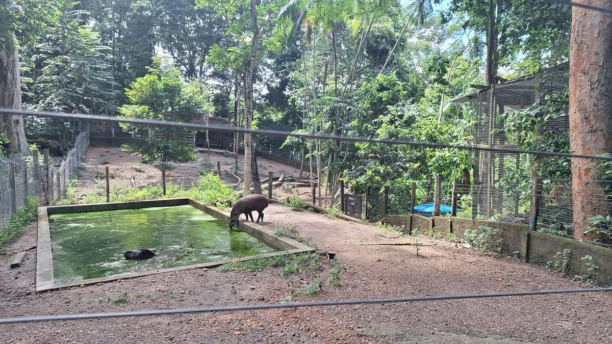 Fundacao Zoobotanica de Maraba