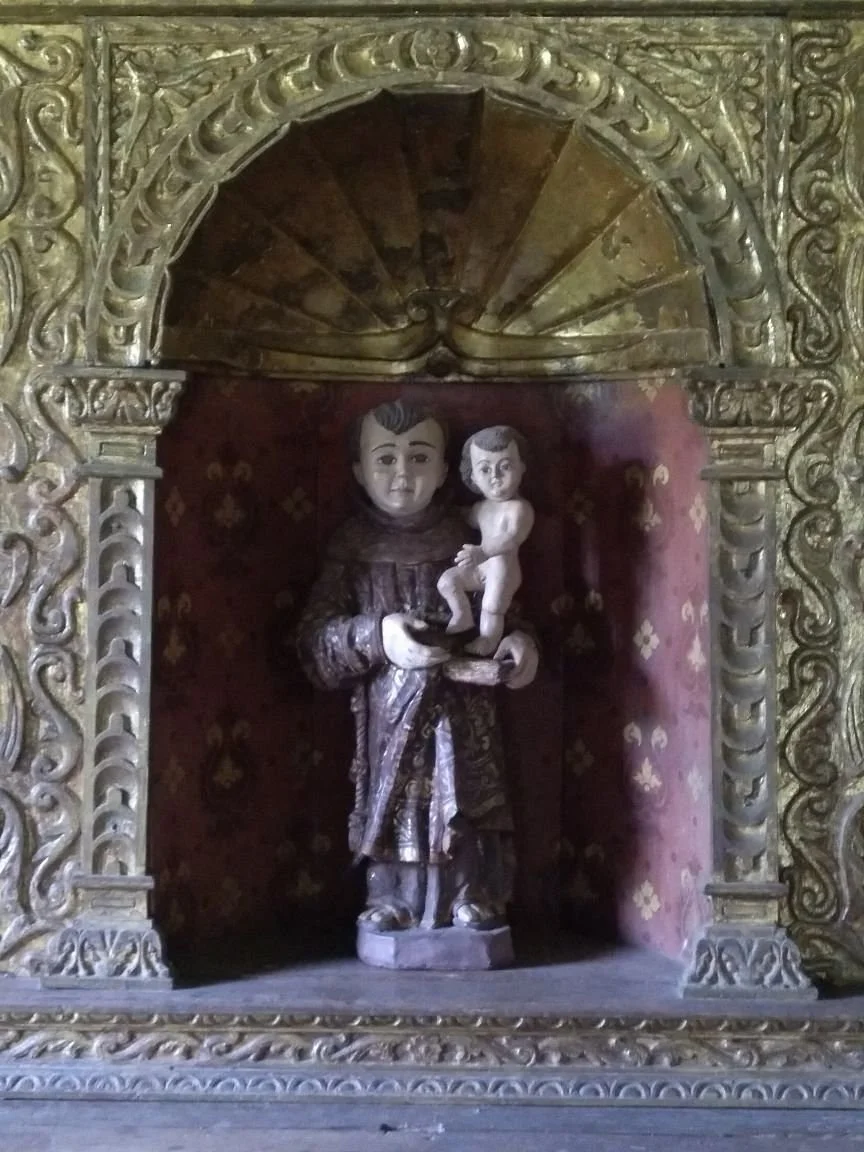 Mata da Camara
