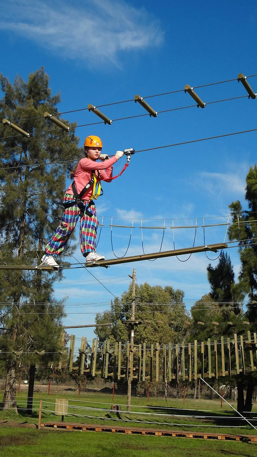 Parque Aereo Euca Tigre