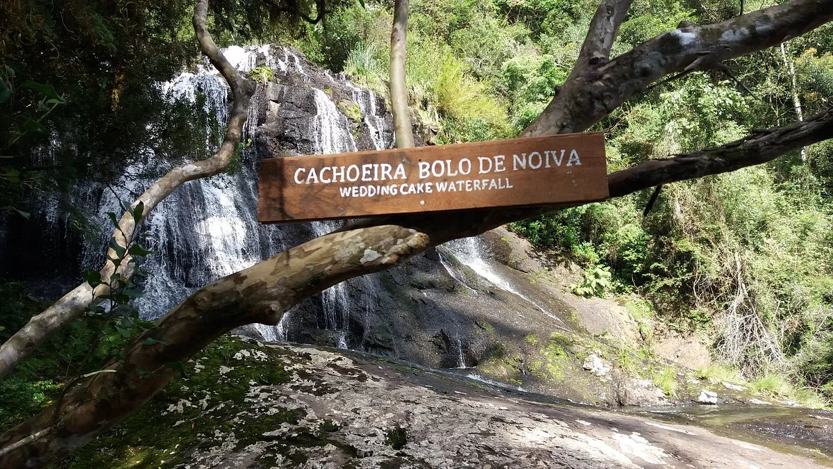 Floresta Nacional De São Francisco De Paula