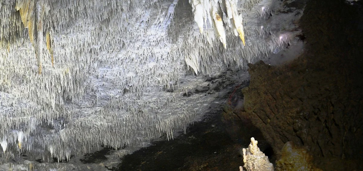 Cueva De La Vaca - Cuatrimotos