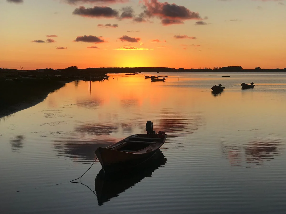 Laguna de Rocha
