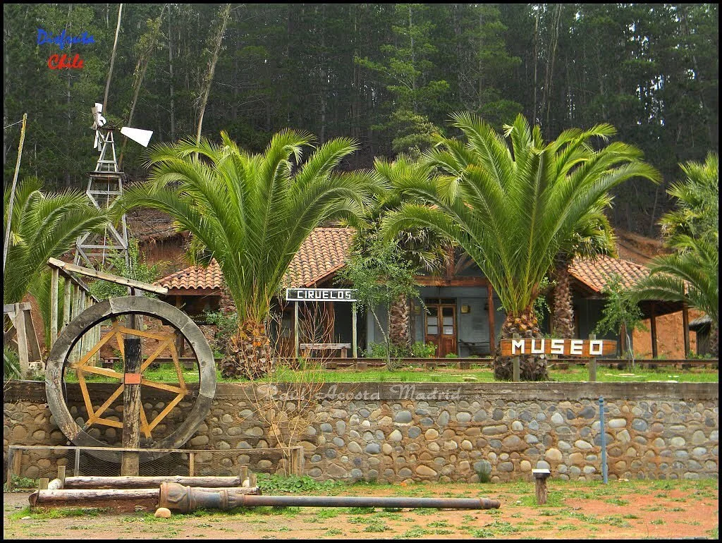 Museo del Nino Rural