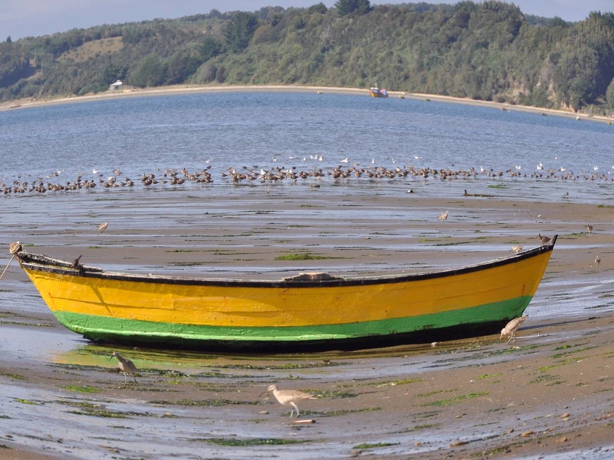 Santuario de Aves de Caulin
