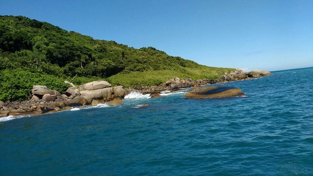 Arvoredo Island