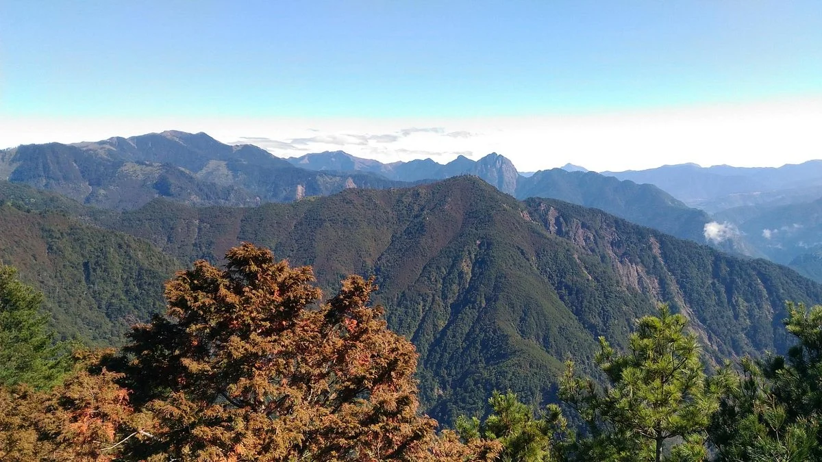 Dongshi Forest Cultural Park