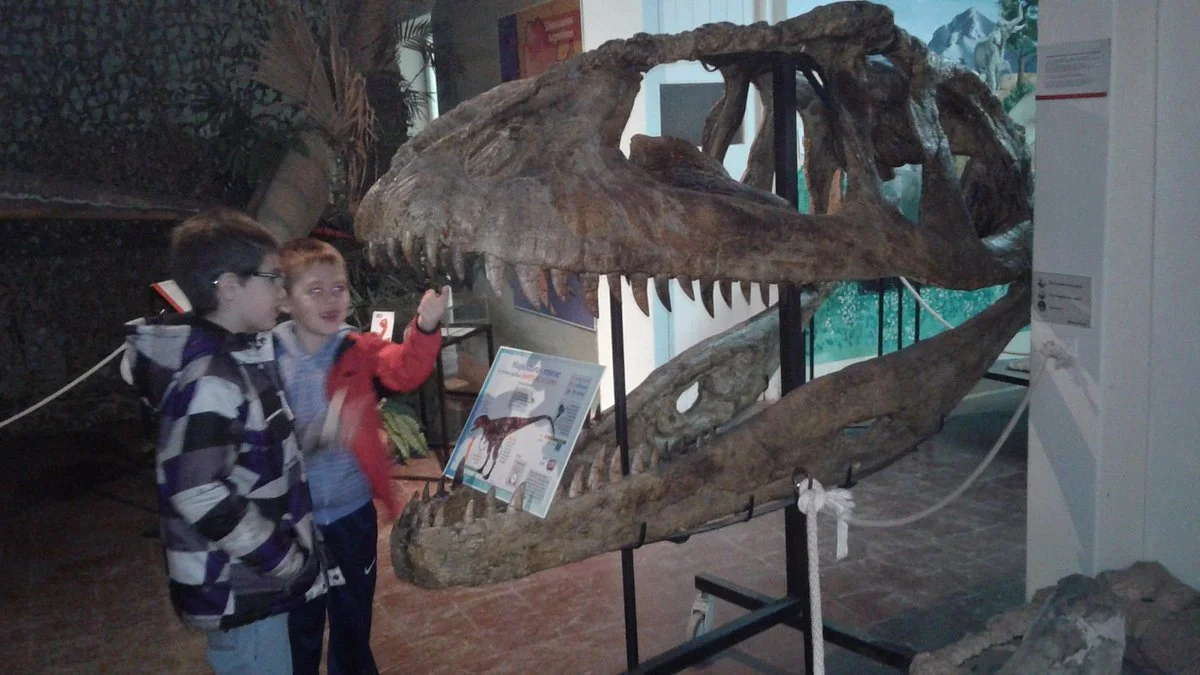 Museo de Ciencias