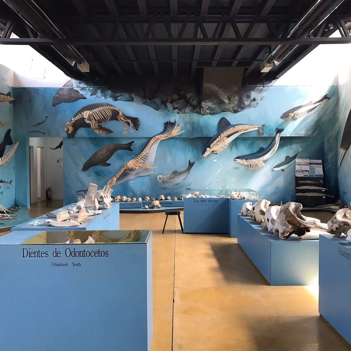 Acatushun Museum