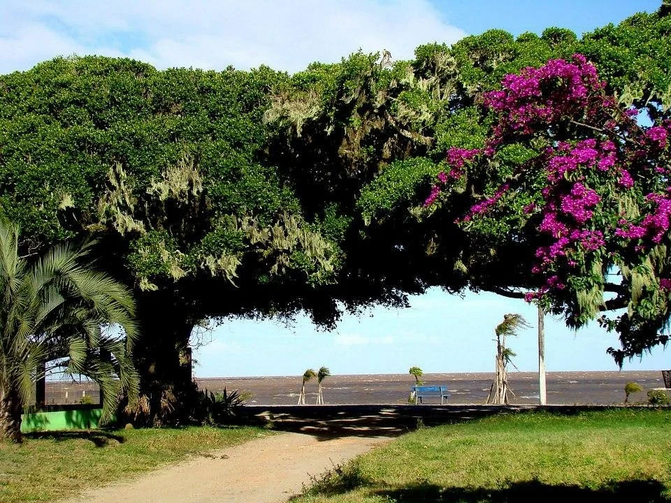 Arambare Beach