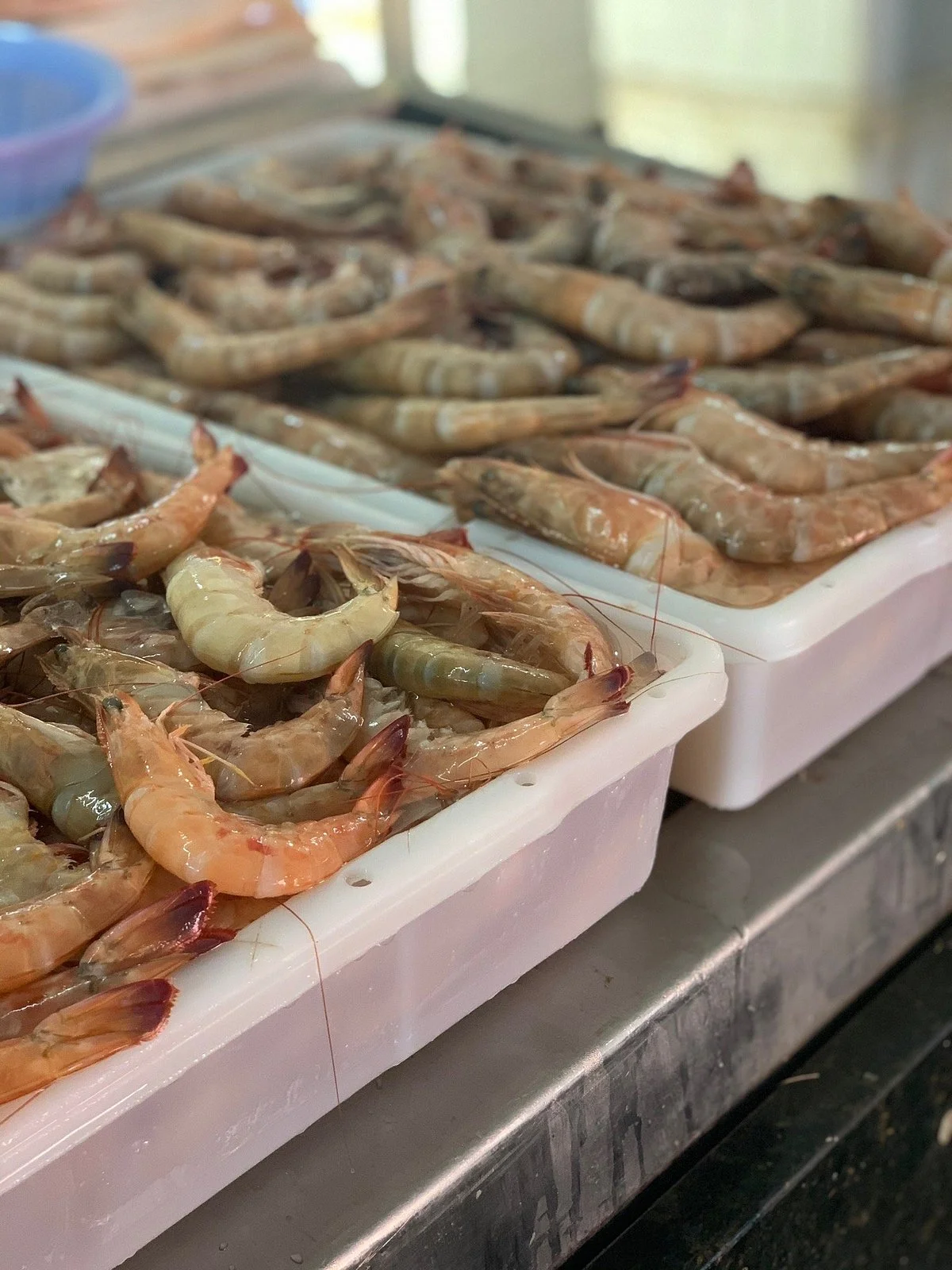 Mercado do Peixe