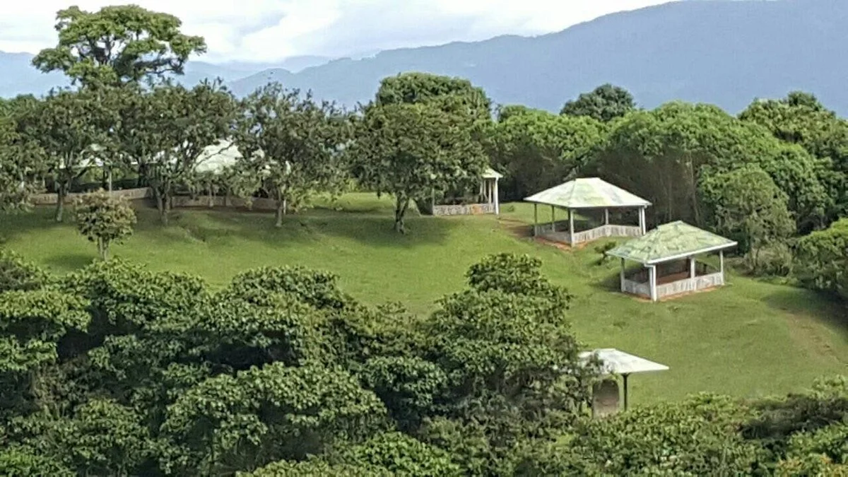 Parque Arqueológico Alto de los Ídolos