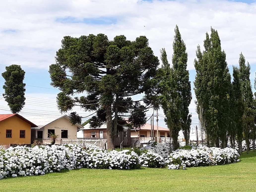Epagri Experimental Station