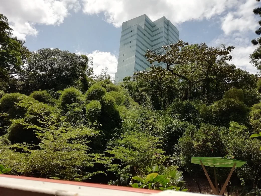 Telemedellin Canal Parque