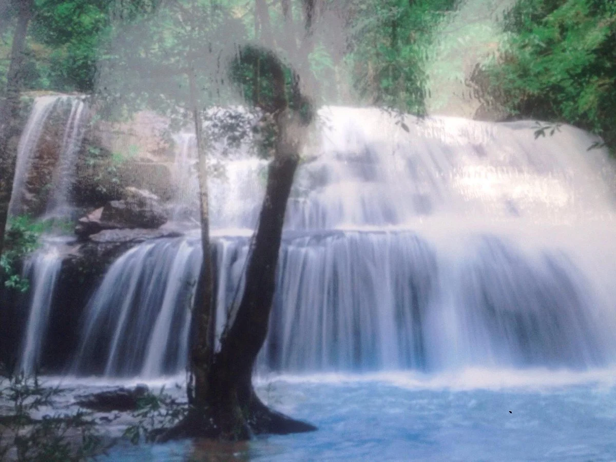 Phanom Sawai Forest Park