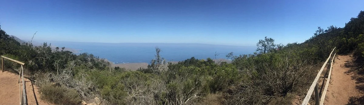 Fray Jorge National Park