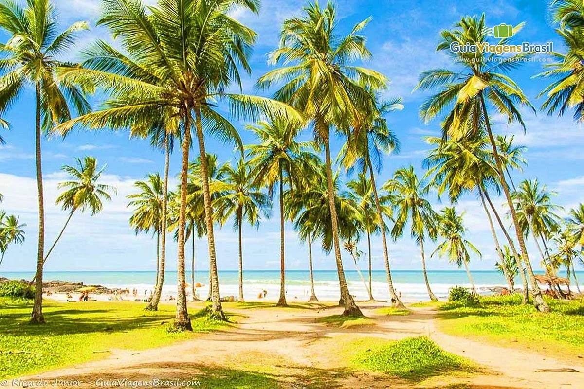 Resende Beach