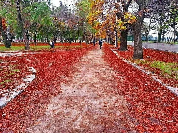 Parque de los Derechos del Trabajador
