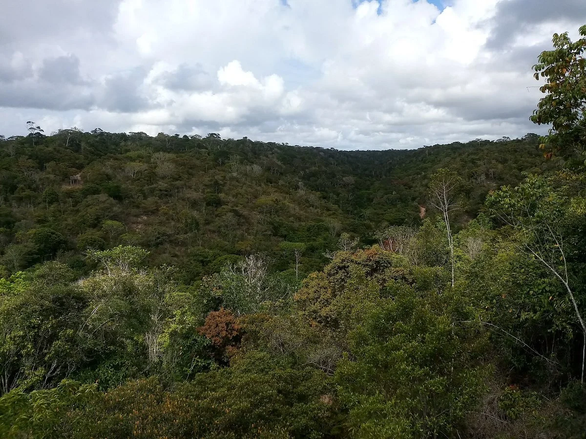 Parque Nacional do Pau Brasil