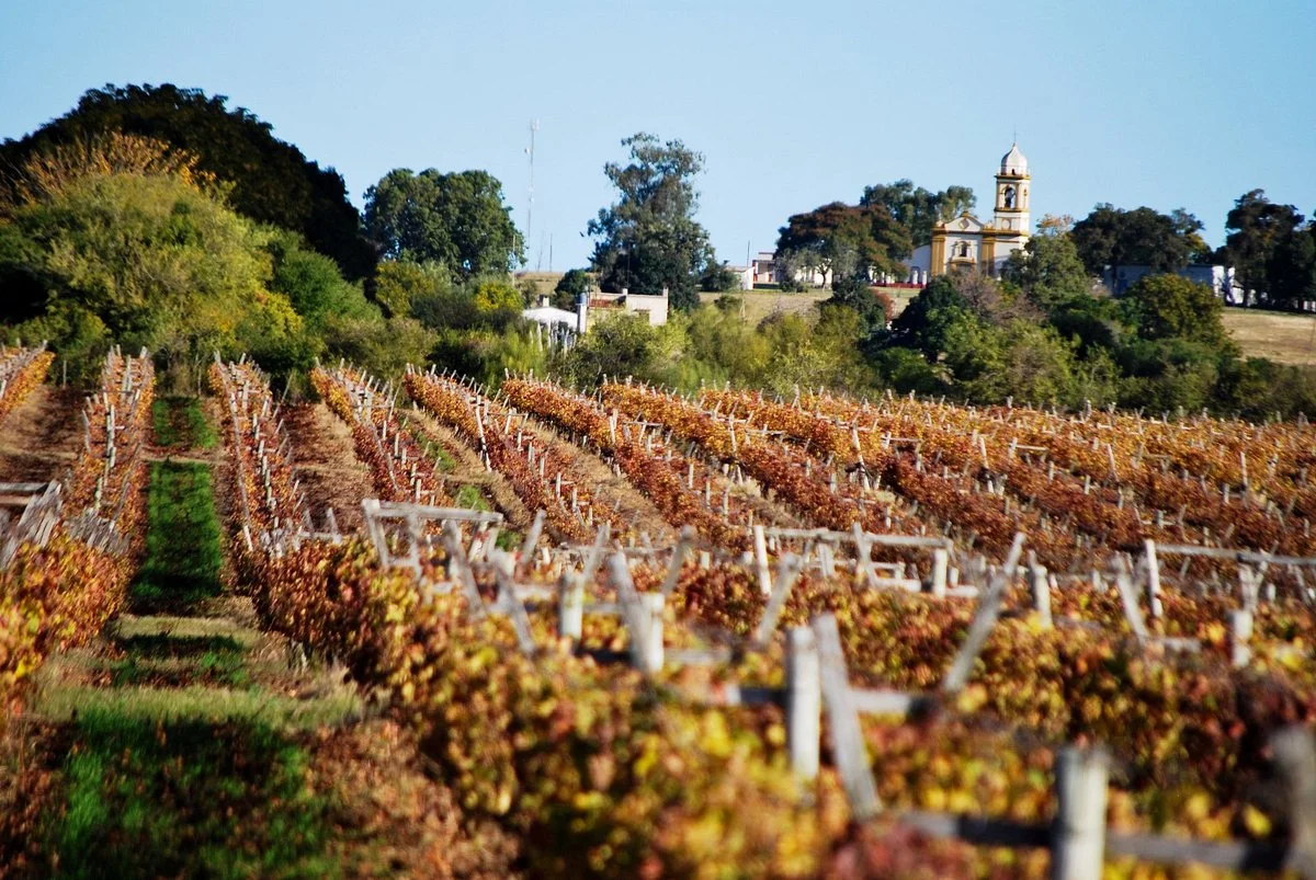 Bodega Familia Irurtia