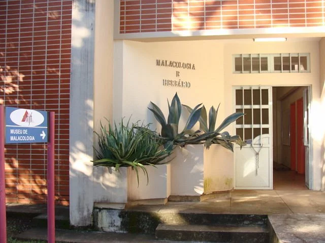 Malacology Museum