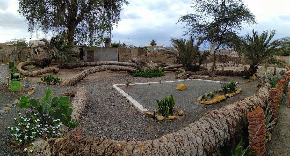 Palmera de Siete Cabezas